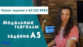 Разбор ЦЭ/ЦТ 2023 года. Задание А5. Модальные глаголы. Нового задание ЦЭ/ЦТ