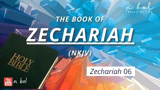 Zephaniah 6 - NKJV Audio Bible with Text (BREAD OF LIFE)