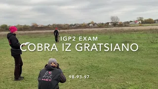 Belgian malinois IGP2 exam - Cobra iz Gratsiano