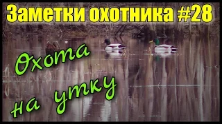 Охота. Заметки охотника #28. Охота на утку весной с манком и чучелами.