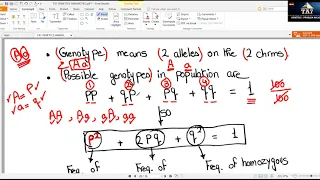 TA7 USMLE STEP 1   HARDY WEINBERG EQUATION