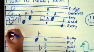 How to Read Music - Basics for Beginners - Music Theory Lesson