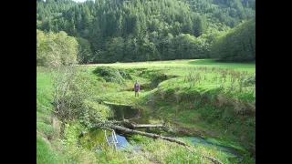 Fivemile-Bell Landscape Restoration Project