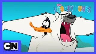 Neue Looney Tunes | Nordpol | Cartoon Network