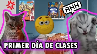 🏫 Primer día de clases (versión #memes de #gatos) #humor #video #viral