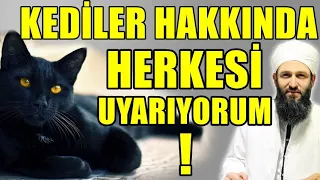 BU KEDİLER HAKKINDA HATA YAPMAYIN ! Hüseyin ÇEVİK