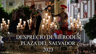 4K || DESPRECIO DE HERODES || PLAZA DEL SALVADOR || 2023