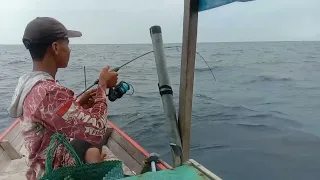 spot ikan krapu merah dan krapu sunu. Mataaaap.🎣💪