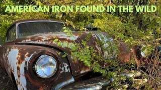 AMERICAN IRON FOUND OUT IN THE WILD - OLD CARS , TRUCKS, & TRACTORS