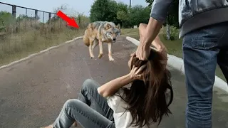 This Man Wanted To Attack The Little Girl But He Didn’t Know She Was Not Alone Here.