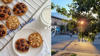 МАНЬЯК НА ФУРЕ🥴🚍КОШАЧЬЯ ЛЮБОВЬ😻ОВСЯНОЕ ПЕЧЕНЬЕ🍪