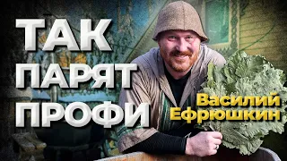 Как парят профи. Василий Ефрюшкин. No comments //Живая Баня Иван Бояринцев