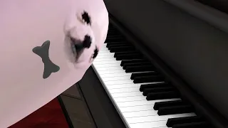 eggdog pianist