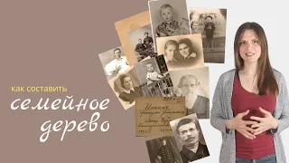 Семейное дерево: как составить, с чего начать, где искать информацию