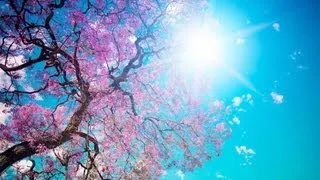 Beautiful SPRING RELAXATION Lounge Del Mar Chill Out Mix