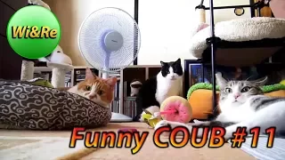 Funny COUB Style #11 ⁄⁄Лучшее в Coub  ПРИКОЛЫ Best Coub
