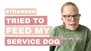 Stranger Tried To Feed My Service Dog!