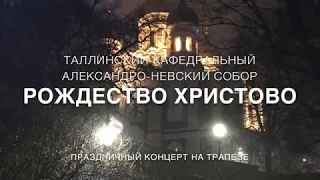 Рождество Христово 2018. Концерт на праздничной трапезе.