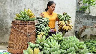 Harvesting Bananas Goes to the Market sell - Share ripe Bananas for Everyone | Tran Thi Huong