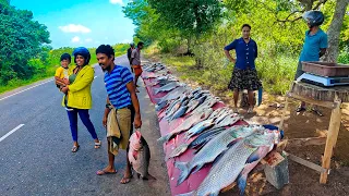 Amazing Live Fish Market Excellent Catla Fish Cutting in Sri Lanka | Beautiful Road Fish Market