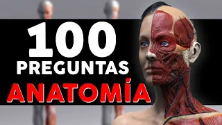 100 Preguntas y Respuestas de ANATOMÍA HUMANA 👉 ¿Cuánto sabes de tu Cuerpo?