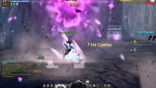 DNSEA - lv40 Paladin Solo Apocalypse -Hell mode ( Giant Wisp  )