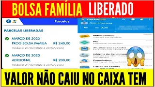 BOLSA FAMÍLIA LIBERADO PAGAMENTO, MAS NÃO CAIU NO CAIXA TEM! O QUE FAZER?