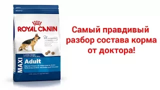 royal canin maxi adult обзор сухого корма роял канин для собак