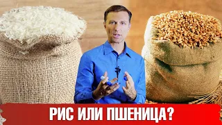 Рис или пшеничная мука: что полезнее для здоровья? Рис и мука – польза или вред.