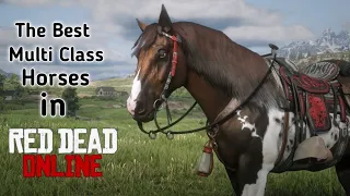 The best multi class horses in RDR2 Online|RDR2 Online