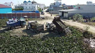 Dozer and Dump Truck pour soil, eliminating a large pond.