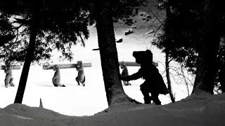 Hundreds of Beavers - Trailer – 2023 Wyoming International Film Festival