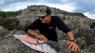 CAMPING ALONE ON A CLIFF - This fish was too big to eat