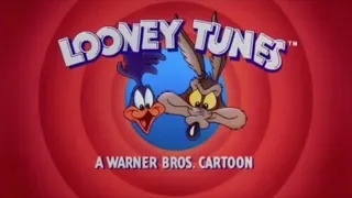 Wile E Coyote And Road Runner In "Inherit The Windbag"