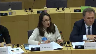 "The implications of Brexit on the Irish border" public hearing (28.11.17)