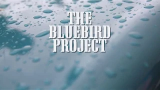 Bluebird Project - Progress 28