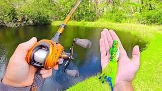 Fishing FROGS in PONDS - I MESSED UP... (Bank Fishing)