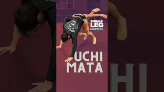 Counter the single leg with Uchi Mata #bjjtechniques #bjj #uchimata #judo #wrestle