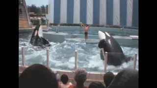 Miami (Seaquarium) 1979 archive footage