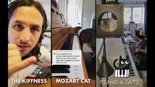 The Kiffness x Mozart Cat x Piano & Cats