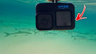 Dropping my GOPRO on the Navarre Reefs…So Many Fish!!