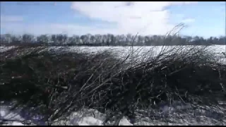 ЦИЛЬНА О.Н.Трифонов Глава Цильнинского городского поселения занимается ерундой за бюджетные деньги