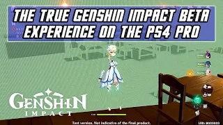 The True Genshin Impact Beta Experience on PS4 PRO