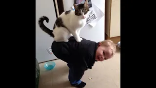 😺 Воспитание человека! 🐈 Смешное видео с котами и котятами для хорошего настроения! 😸