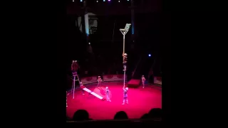 Акробаты в цирке Никулина
