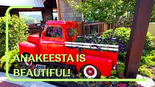 Summer in the Smokies is better at Anakeesta (Gatlinburg TN)