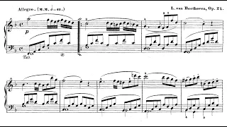 Beethoven-Winkler - Violin Sonata 5, "Spring" op. 24, I. Allegro - Cyprien Katsaris Piano