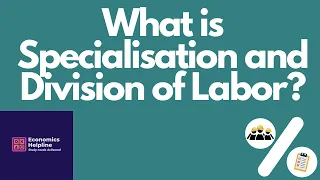 What is Specialisation and Division of Labor in economics?