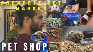 Pet Shop Cheapest Fish Shop | Exotic Fish फिश पॉइंट एक्वेरियम शॉप | Aquarium Fishes | Ludhiana