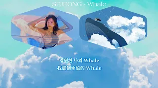 【韓中翻譯】世正 SEJEONG - Whale